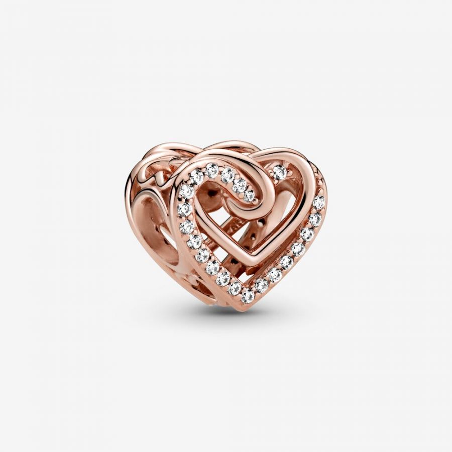 Rose Charm Funkelnde Verschlungene Herzen