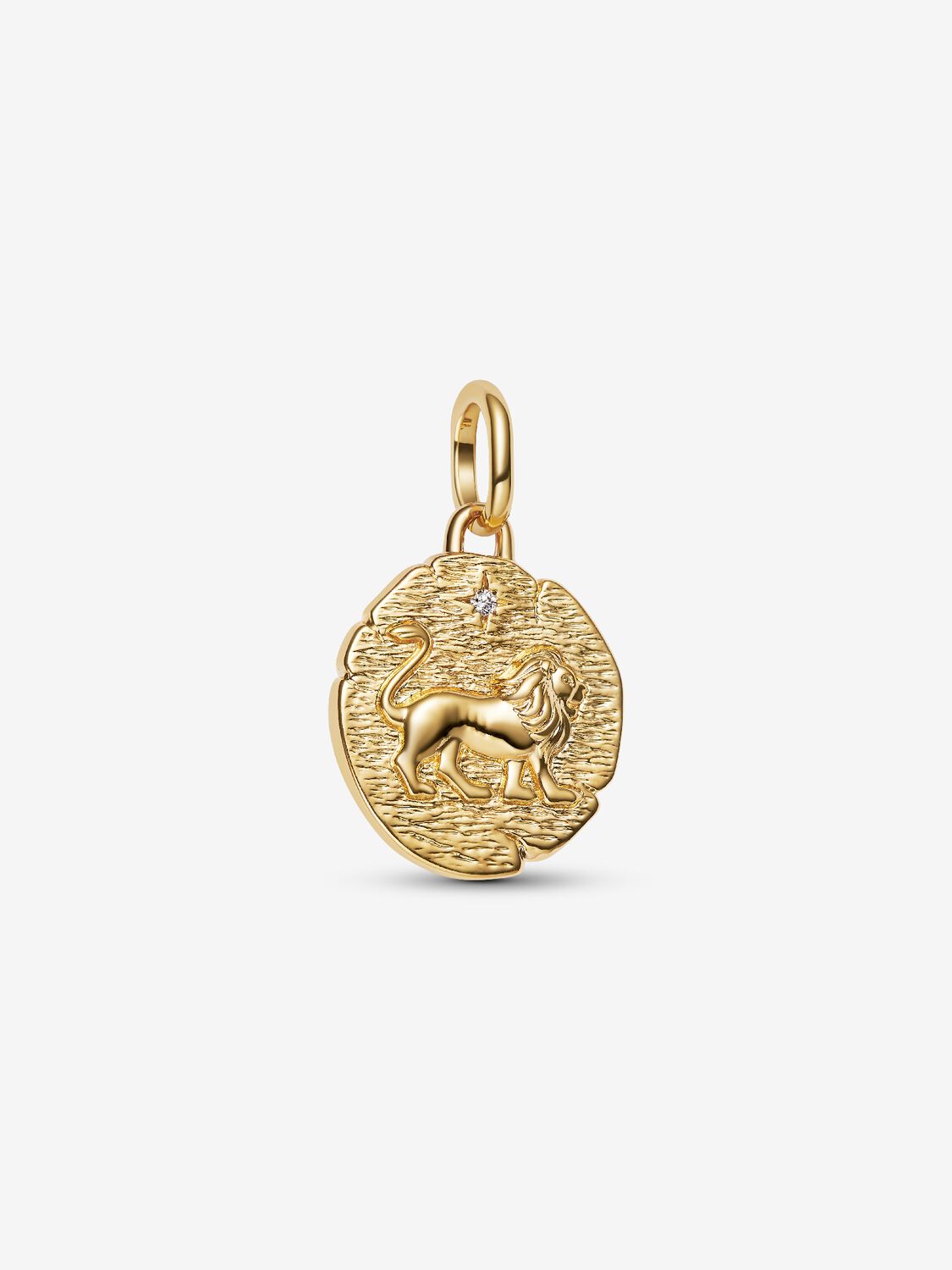 Löwe Medaillon-Charm 14 Karat Vergoldung